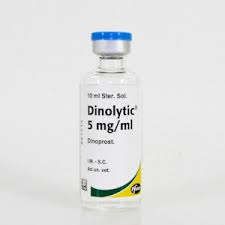 Dinolytic, 1 x 10 ml