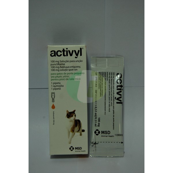 Activyl Small Cats <4 kg, 1 pipette