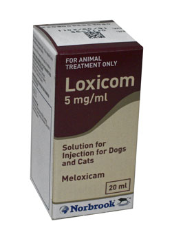Loxicom Inj. 5 mg, 10 ml