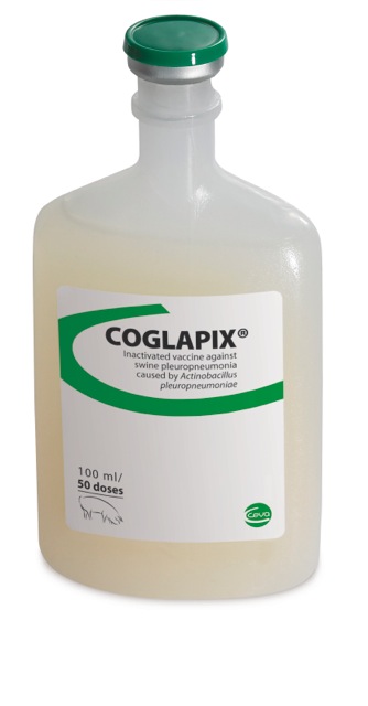 Coglapix, 100 ml