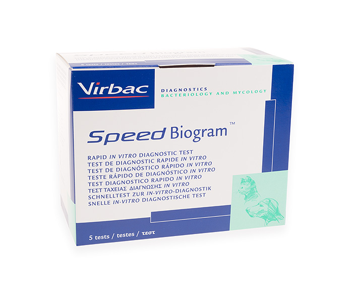 Speed Biogram, 5 tests