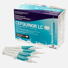 Cefquinor LC, 24 syringes
