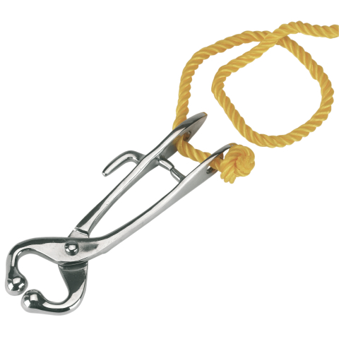 Bull Holder with rope