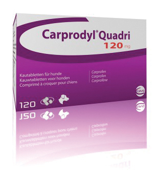 Carprodyl QD 120 mg, 100 tabs