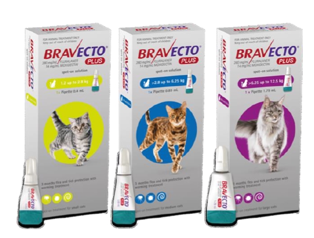 Bravecto Plus Spot On cats 250 mg 2.8-6.25 kg, 1 pipette