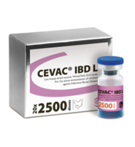 Cevac IBD L, 1000 DS