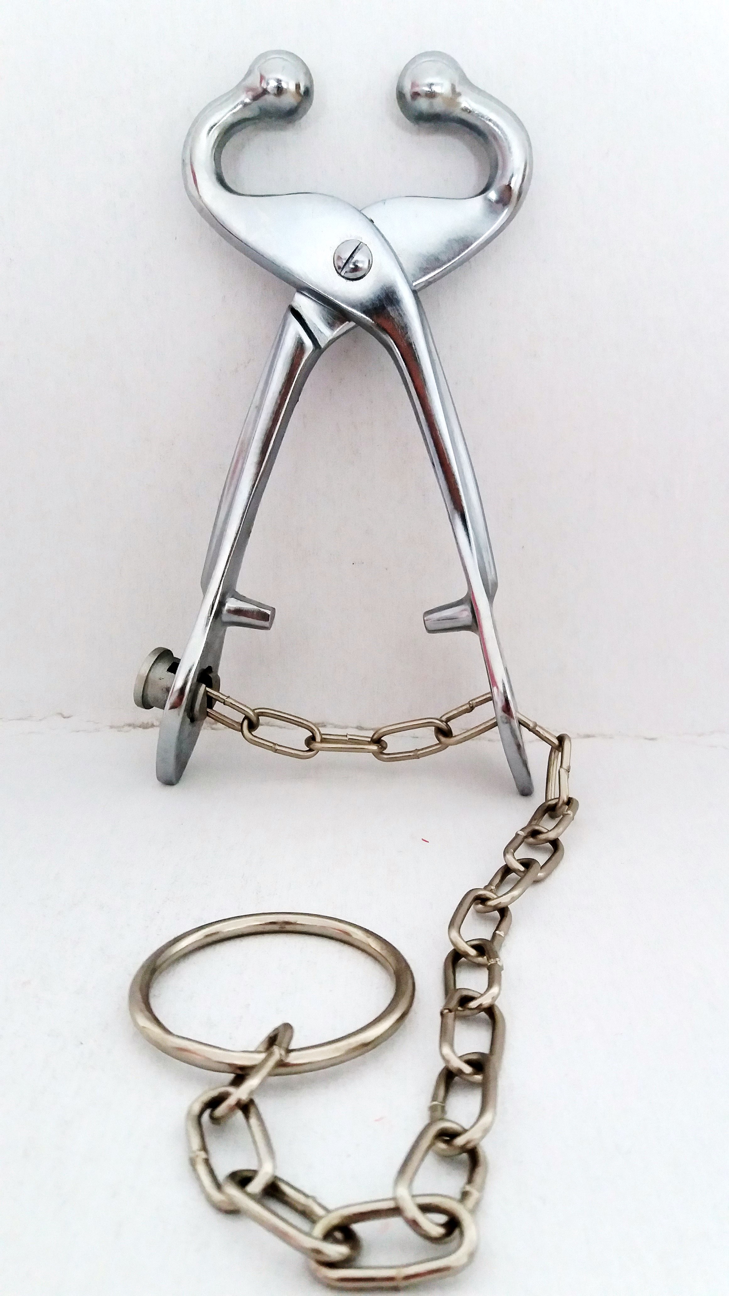 Bull holder with chain