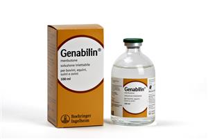 Genabilin, 100 ml