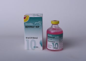 Bovilis Bovipast RSP, 50 ml