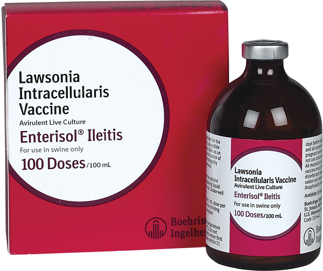 Enterisol Ileitis, 100 ml
