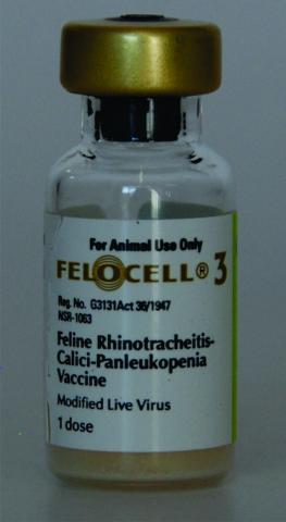 Felocell, 1 ml