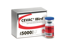Cevac IBIRB, 5000 DS